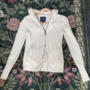 American Eagle Outfitters Hooded Sweater